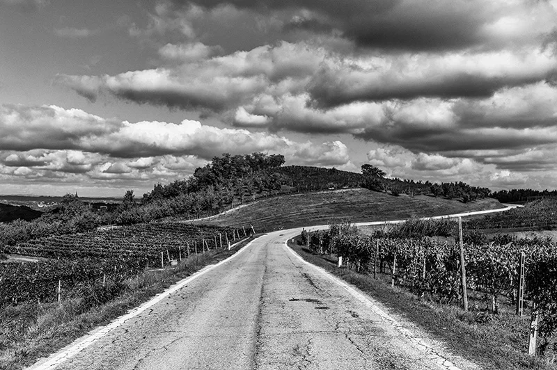 Una strada nel Monferrato Unesco