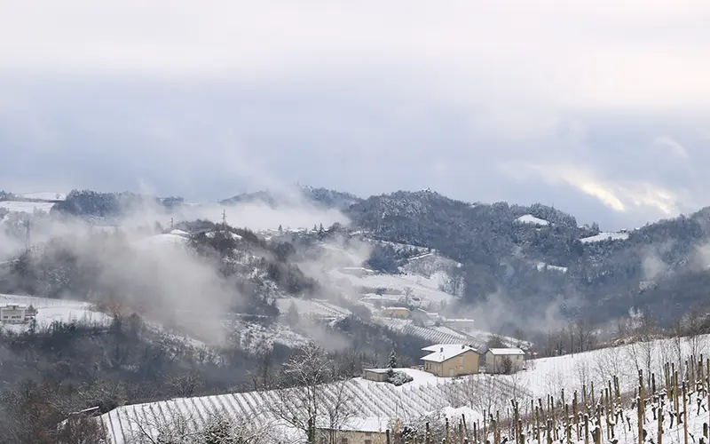 Colline in inverno