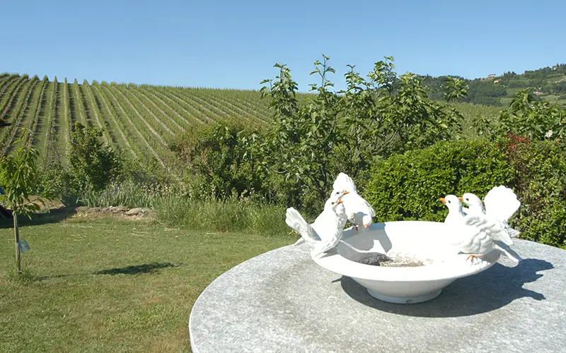 Colline in estate